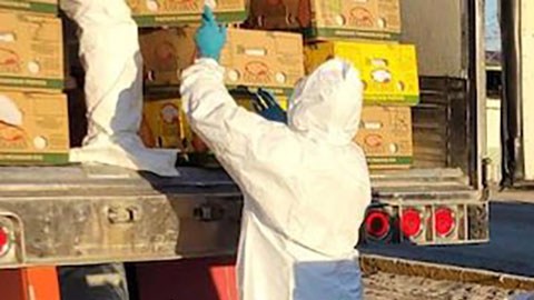 Decomiso de cocaína