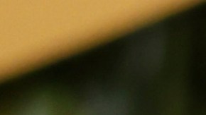 Demi Moore Bruce Willis demencia