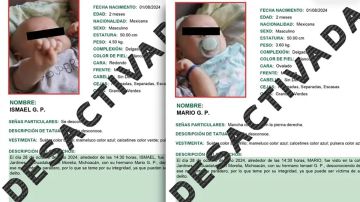 Denuncia por robo de bebés
