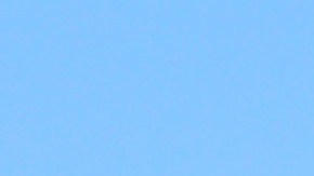 Dollar Tree, Halloween