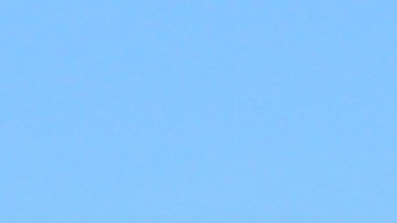 Dollar Tree, Halloween