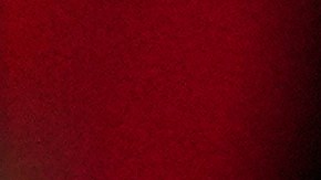 Trump se quejó por el costo de enterrar a una "maldita mexicana", la soldado Guillén