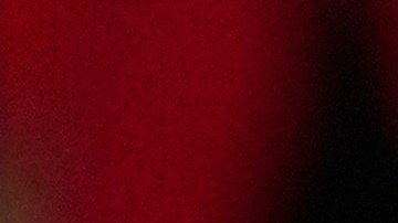 Trump se quejó por el costo de enterrar a una "maldita mexicana", la soldado Guillén