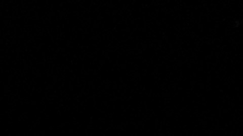 Modelo denuncia abuso sexual de Donald Trump tras manosearla frente a Jeffrey Epstein