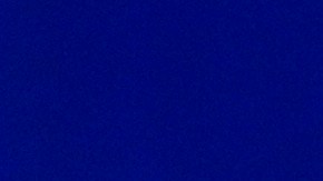 Líderes puertorriqueños y latinos piden voto de castigo contra Donald Trump