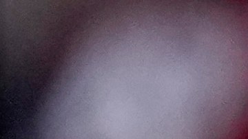 Trump califica de "fiesta de amor" el mitin del Madison Square Garden, pese a polémica de comediante