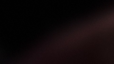 Donald Trump y Kamala Harris están luchando por liderar las búsquedas en Internet para atraer una mayor cantidad de votantes