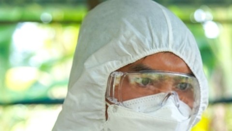EE.UU. investiga posible transmisión de gripe aviar entre humanos