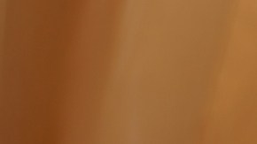 El Covid empeoró la depresión entre los jóvenes del sur de California