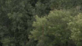 El Dodge Durango 2025 Brass Monkey celebra dos décadas