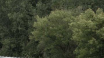 El Dodge Durango 2025 Brass Monkey celebra dos décadas