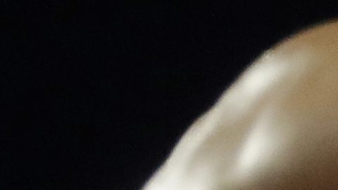 Emanuel 'Vaquero' Navarrete