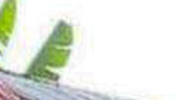 El sur de Filipinas no es ajeno a los problemas de seguridad entre su población en gran medida empobrecida.