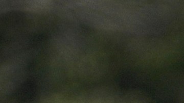 Tras pasos de huracanes en Florida, aumentan casos de bacterias carnívoras