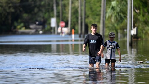 Tras pasos de huracanes en Florida, aumentan casos de bacterias carnívoras