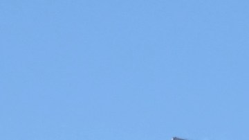 A food truck offering middle eastern food is parked by an office building on a street in downtown Los Angeles on Thursday, March 5, 2015. Mountainside hikes along urban cityscapes. Ramen noodle bars, Korean tea houses and taco trucks serving every regional Mexican specialty. Los Angeles is known for classic Hollywood, but these days the city is getting attention for other attractions too. (AP Photo/Richard Vogel)