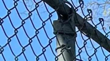 Franky Carrillo en la recta final de su campaña por un asiento en la Asamblea de California.