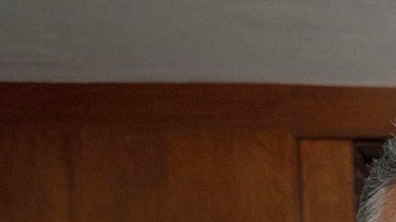 Gabriel Ramos y Armando Castilla