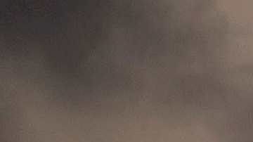 Las autoridades están investigando activamente el incidente en el muelle de Georgia.