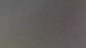 Germán Berterame fue convocado por Javier Aguirre para los partidos contra Estados Unidos y Valencia.