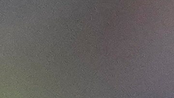 Germán Berterame fue convocado por Javier Aguirre para los partidos contra Estados Unidos y Valencia.