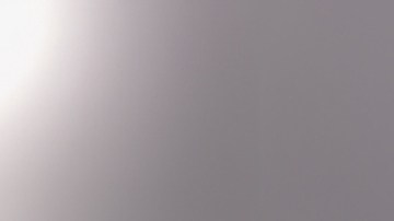 Gripe aviar y mpox podrían ser amenazas de pandemia según un informe