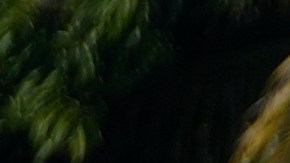 Inmigrantes de Guatemala cruzan el río Suchiate, que marca la frontera entre Guatemala y México.