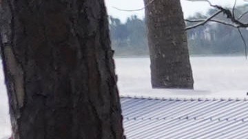 La demanda por homicidio culposo afirma que los trabajadores se vieron obligados a permanecer en sus puestos, pese a las inminentes inundaciones