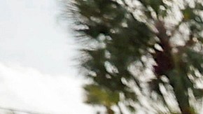 Helene, unos de los huracanes más letales que han golpeado a EE.UU. con más de 150 muertes