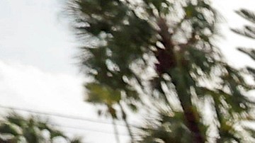 Helene, unos de los huracanes más letales que han golpeado a EE.UU. con más de 150 muertes