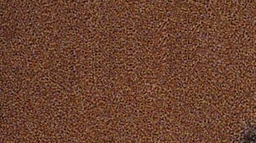 Lyle Menendez, right, and brother Erik listen to a charge of murder conspiracy against them with Leslie Abramson, far left, attorney for Erik, Dec. 29, 1992 in Los Angeles. The brothers pled innocent to the new indictment which dropped the original charge that they killed their parents for money. The indictment was returned nearly three years after Joseph and Kitty Menendez were found slain in their home. (AP Photo/Chris Martinez)