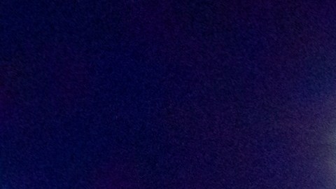 El aparente asesintato- suicidio en Houston continúa bajo investigación.