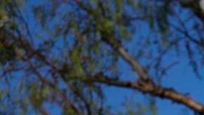 Los Angeles (United States), 21/10/2024.- Mental health professionals picket outside the Kaiser Permanente Los Angeles Medical Center, amid contract talks between Kaiser management and its employed mental health workers, in Los Angeles, California, USA, 21 October 2024. More than 2,400 Kaiser Permanente mental healthcare workers in Southern California went on strike on 21 October, according to the National Union of Healthcare Workers. EFE/EPA/CAROLINE BREHMAN