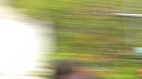 Agente del Servicio de Inmigración y Control de Aduanas de Estados Unidos