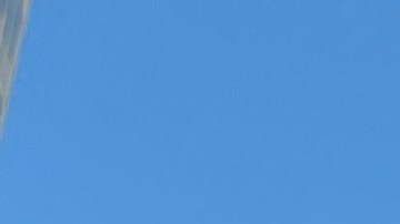 El expresidente Trump realizó un mitin en el Madison Square Garden.