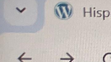 Hay universidades que atienden a poblaciones latinas de menos recursos.