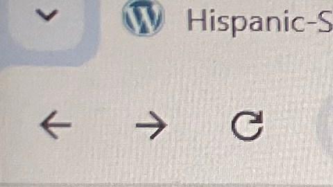 Hay universidades que atienden a poblaciones latinas de menos recursos.