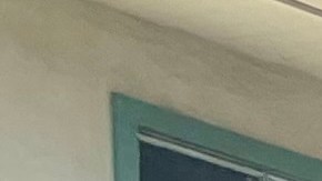 Jøvenes en Santa Bárbara salieon a tocar puertas para invitar a los residentes a votar.