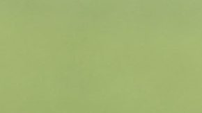 Jesús Corona junto a Hirving Lozano en la selección de México.