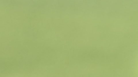 Jesús Corona junto a Hirving Lozano en la selección de México.
