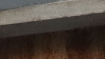 Mazatlán, Sinaloa a 19 de de Abril de 2024. Ricardo Salinas Pliego, durante el partido correspondiente a la jornada 16 del torneo Clausura 2024 de la Liga BBVA MX, entre los Cañoneros de Mazatlán FC y los Bravos de FC Juárez, realizado en el estadio el Encanto. Foto: Imago7/ Eduardo Reséndiz