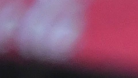 San Nicolás de los Garza, Nuevo León a 27 de de Abril de 2024. , durante el partido correspondiente a la jornada 17 del torneo Clausura 2024 de la Liga BBVA MX, entre los Tigres de la UANL y los Xolos de Tijuana, realizado en el Estadio Universitario. Foto: Imago7/ Juan Angel Ovalle