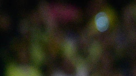 Ciudad de México, 26 de mayo de 2024. , durante el partido de vuelta de la final del torneo Clausura 2024 de la Liga BBVA MX, entre las Águilas del América y la Máquina Celeste del Cruz Azul, celebrado en el Estadio Azteca. Foto: Imago7/Pablo Ramírez