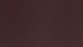 Fernando Gago tiene contrato con el club hasta diciembre de este año.