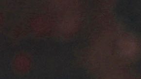 Los Xolos revivieron con el entrenador colombiano.