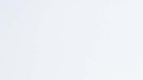 Ciudad de México, 5 de octubre de 2024. Foto de equipo de Cruz Azul, durante el partido correspondiente a la jornada 11 del torneo Apertura 2024 de la Liga BBVA MX, entre la Máquina Celeste del Cruz Azul y los Rayos del Necaxa, realizado en el estadio Ciudad de los Deportes. Foto: Imago7/