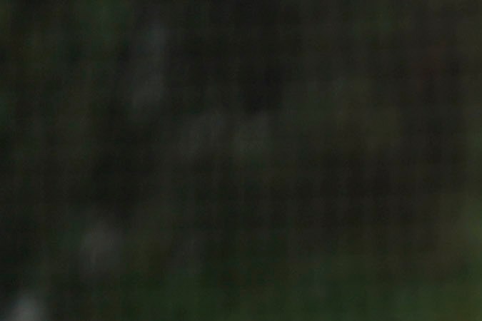 Ciudad de México, 7 de octubre de 2024. Andrés Guardado y Raúl Jiménez, durante un entrenamiento de la Selección Nacional de México previo a sus partidos amistosos contra Valencia y Estados Unidos, celebrado en el Centro de Alto Rendimiento de la FMF. Foto: Imago7/