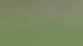 Andrés guardado vivió uno de sus mejores momentos con el Tri junto a Rafa Márquez.