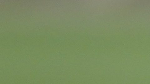 Andrés guardado vivió uno de sus mejores momentos con el Tri junto a Rafa Márquez.