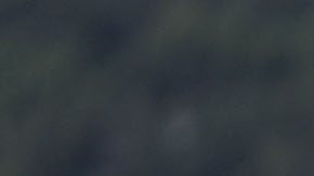 Ciudad de México, 10 de octubre de 2024. Raúl Jiménez y Obed Vargas, durante un entrenamiento de la Selección Nacional de México previo a sus partidos amistosos contra Valencia y Estados Unidos, celebrado en el Centro de Alto Rendimiento de la FMF. Foto: Imago7